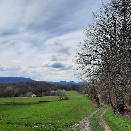 Urlaub Im Friseursalon Appartement Sebnitz Buitenkant foto